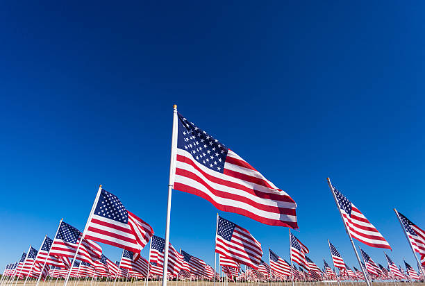 istock Display of American flags with a sky background 519129324