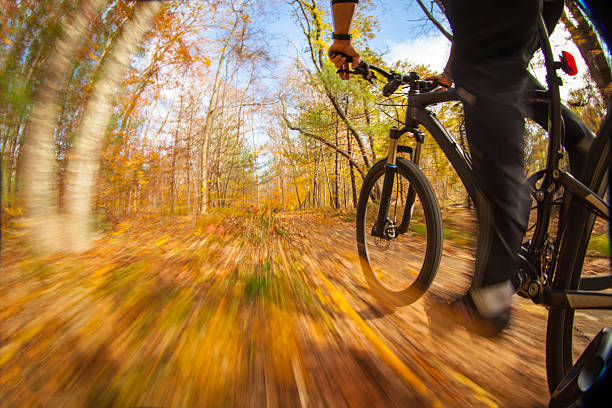 istock Mountain biker riding trails on a sunny day. 519129420