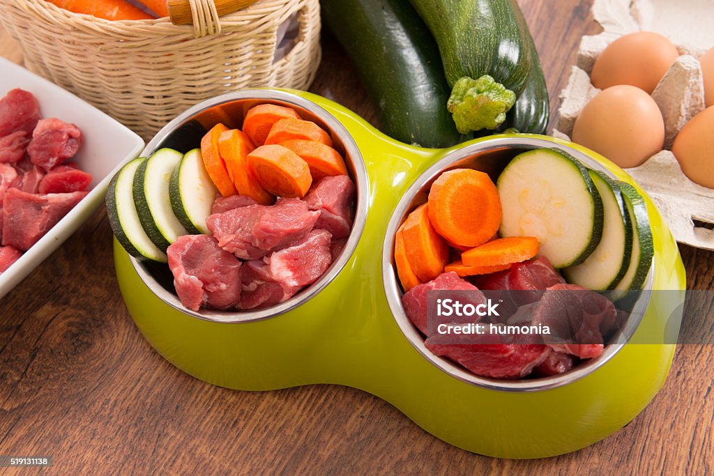 Natural dog food Natural, organic dog's food in a bowl with ingredients zucchini, carrot and raw meat Dog Stock Photo