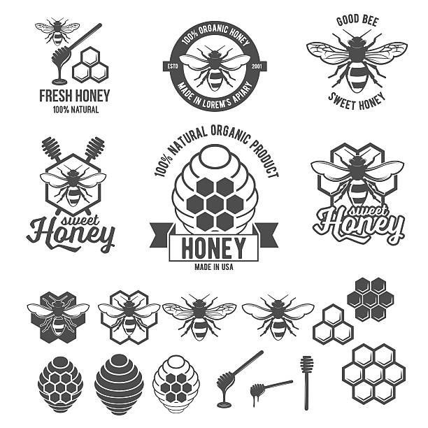 vintage rama z etykietą miodu zestaw - bee honey bee single flower honey stock illustrations