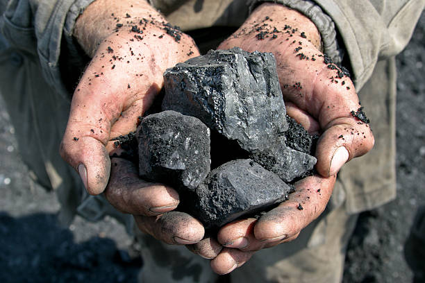 istock coal miner in the hands of 519131718