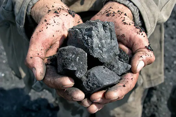 coal miner in the hands of coal background