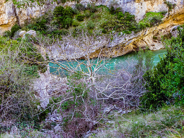 istock the river in the summer in Navarra 519133327