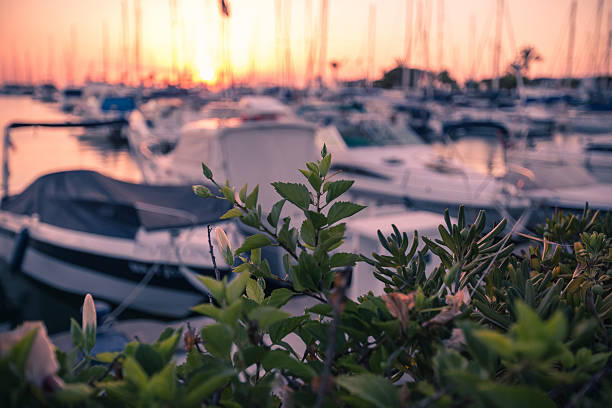 istock Yachts in the bay 519133496