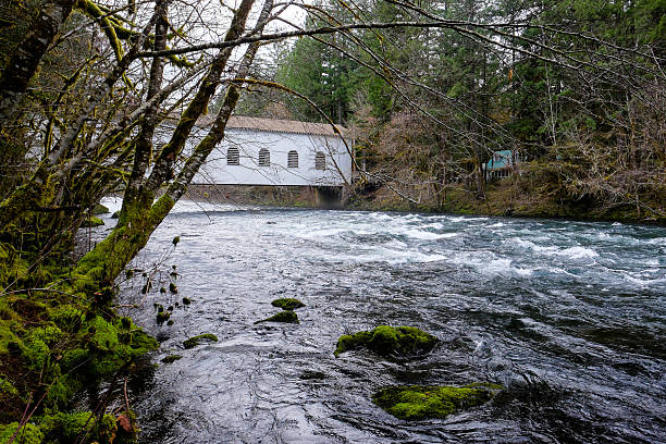 istock Historic Belknap Bridge McKenzie River 519134210