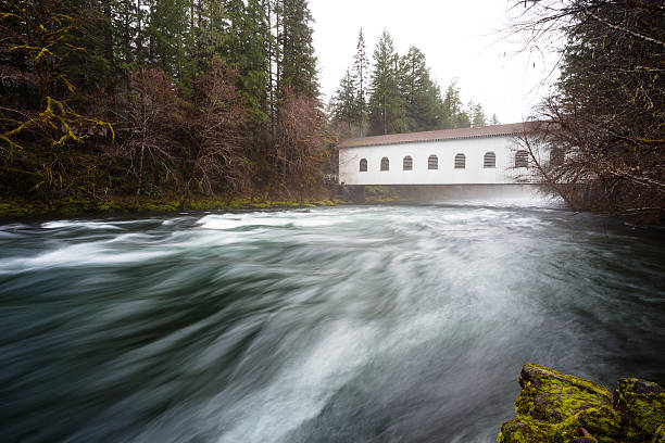 istock Historic Belknap Bridge McKenzie River 519134262