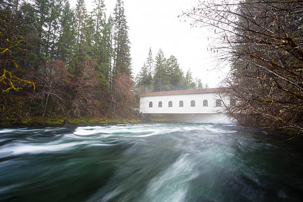 istock Historic Belknap Bridge McKenzie River 519134350