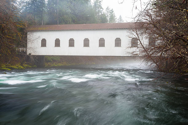 istock Historic Belknap Bridge McKenzie River 519134474