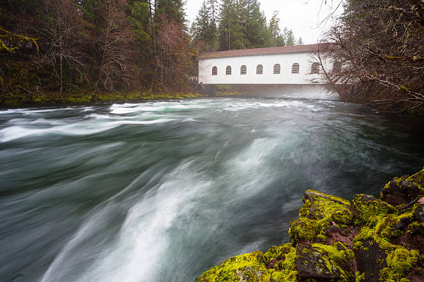 istock Historic Belknap Bridge McKenzie River 519134516
