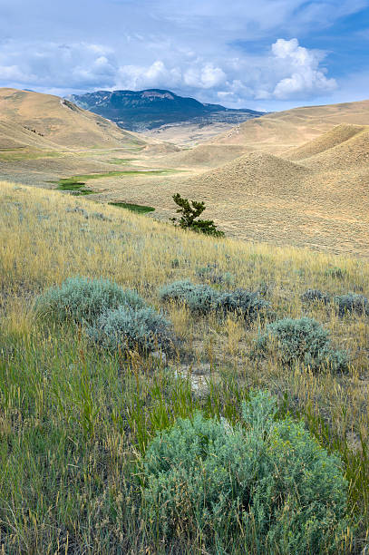 istock Beartooth Mountains, Red Lodge, Montana, USA. 519135225