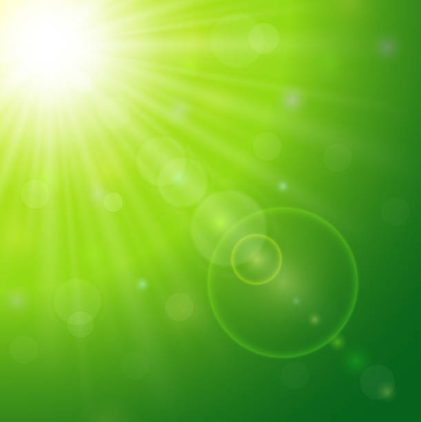 istock Green natural background with summer sun and lens flare 519157842