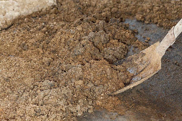 istock Pig manure was a lap out of the stall. 519158220