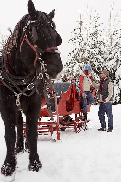 Family with horse drawn sleigh