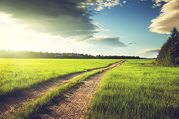 istock ground road and field of spring grass 519159480