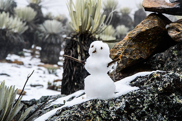 Frosty Snow valley with frailejones and a snowman from La Culata National Park in Merida, Venezuela. landscape of the mountains in merida venezuela stock pictures, royalty-free photos & images
