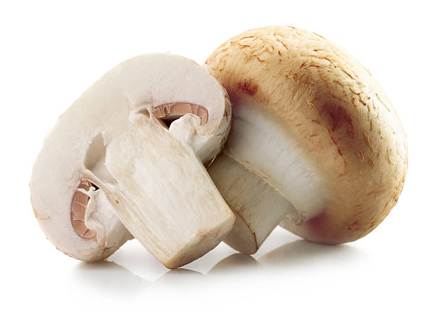 istock white mushrooms isolated on the white background 519163032