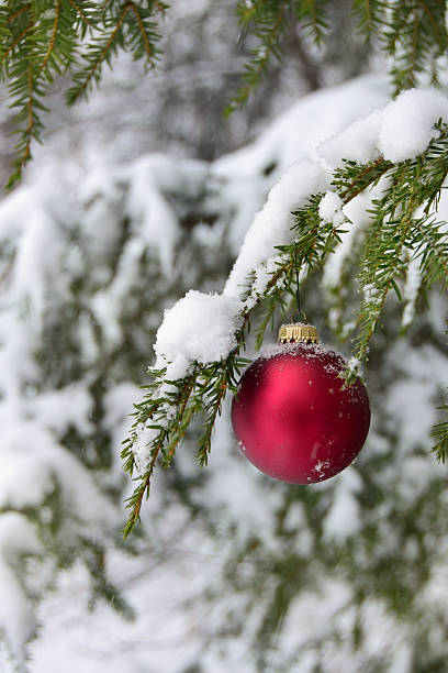 Photo of Red Christmas Bulb on Evergreen Tree on Snowy Day