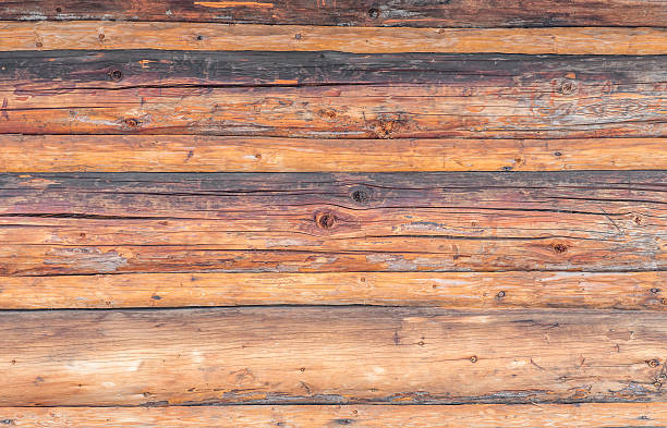 istock Traditional highland cottage wall made of debarked spruce trunks 519166584