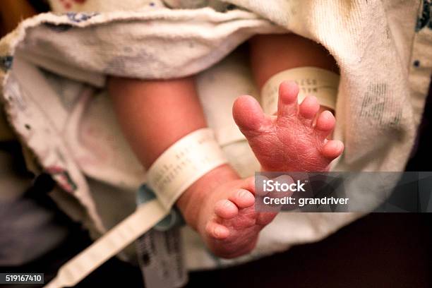 Cute Newborn Baby Feet Stock Photo - Download Image Now - 0-11 Months, Adult, Affectionate