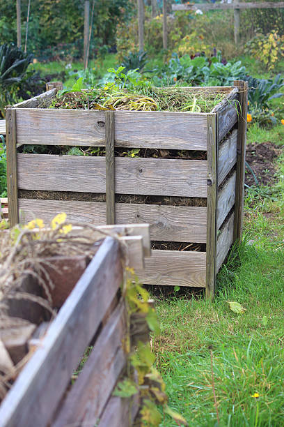 istock Wooden compost heap, compost bin converter, allotment / vegetable garden waste 519168415