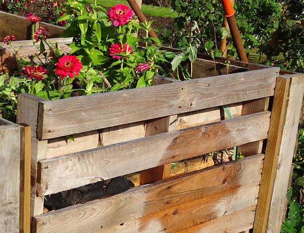 istock Wooden compost heaps, compost bin converters, allotment / vegetable garden waste 519168451