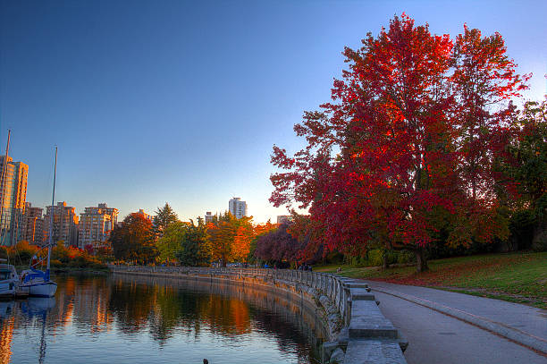 istock Autumn Trees in the Park 519168622