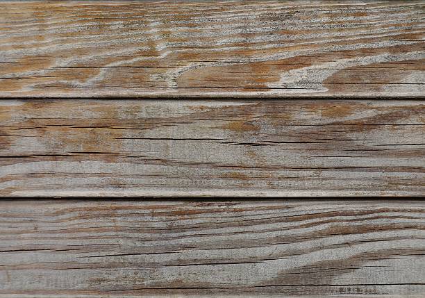 istock Wood texture: Strongly weathered grained wood. 519168630