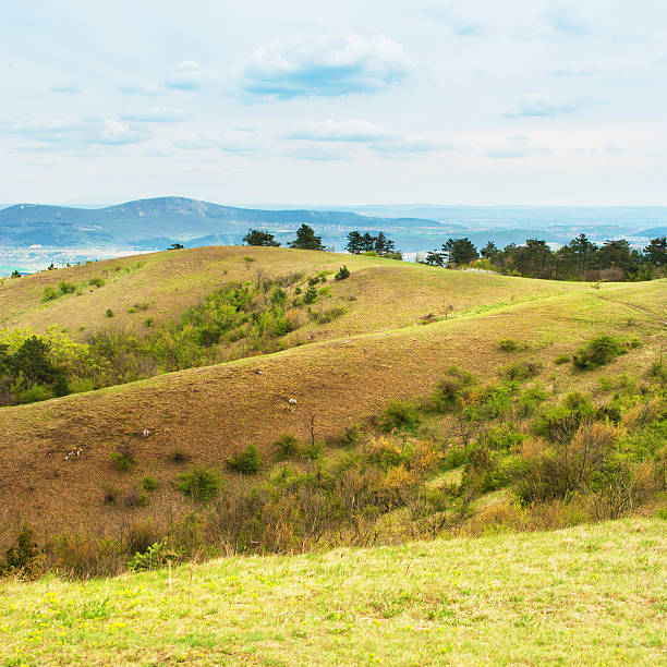Scenery of rolling hills landscape.