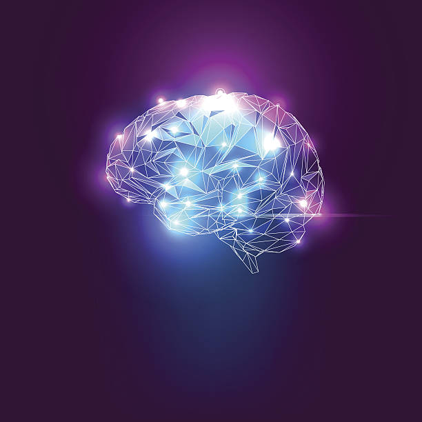 Human Brain vector art illustration