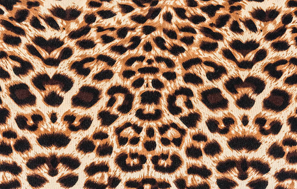 istock texture of fabric striped leopard 519175595