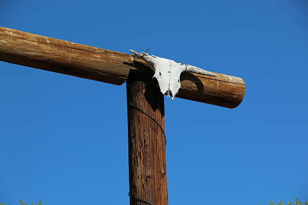 Dark creature nailed to fence
