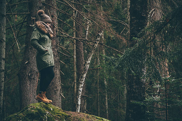 istock Female hiker enjoys the view in a forest 519183576