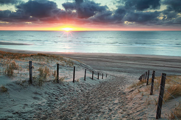 istock sunshine on sand path to sand beach 519184696
