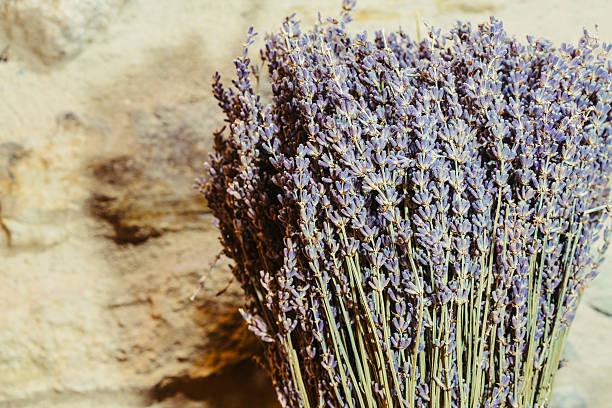istock Dry scented decoration lavanda purple plants 519184968