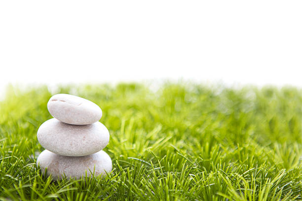 istock stones and grass isolated on white background. 519186606
