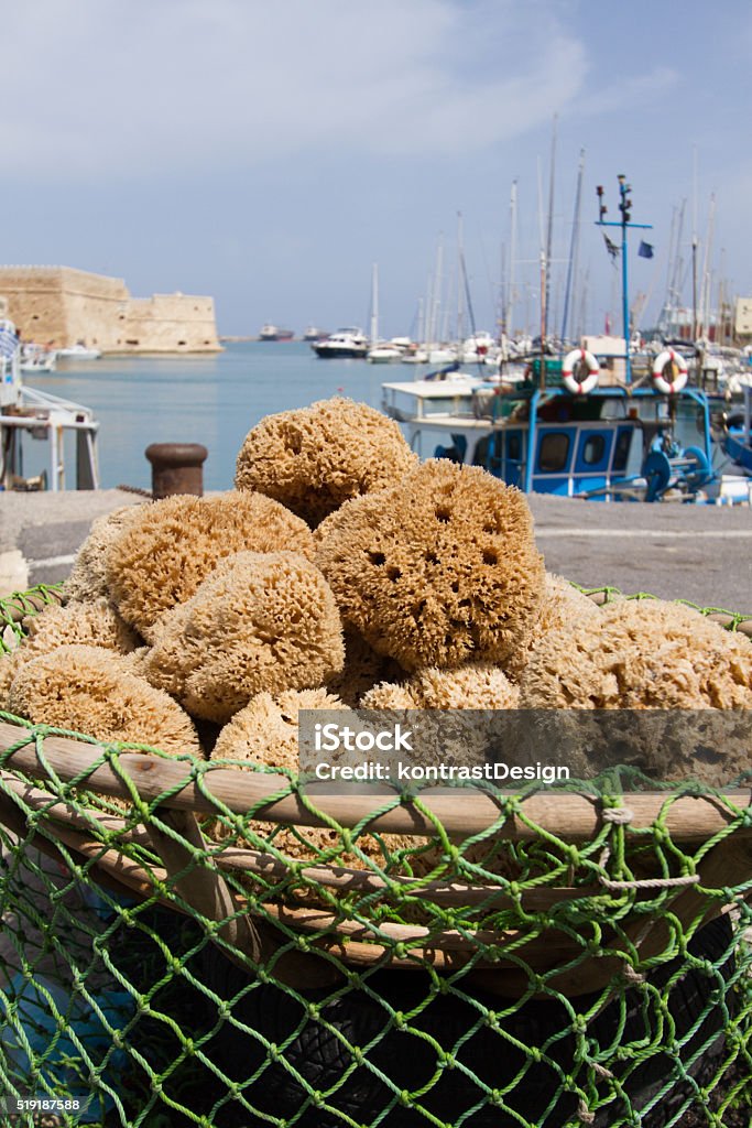 Freshly Caught Natural Sponges From The Sea Stock Photo - Download Image  Now - Animal, Bath Sponge, Bathtub - iStock
