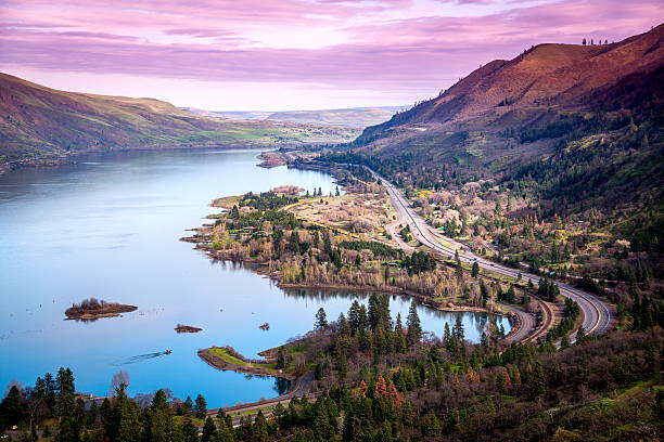 Columbia River from Rowena Crest Viewpoint Oregon Columbia River from Rowena Crest Viewpoint.  pacific crest trail stock pictures, royalty-free photos & images