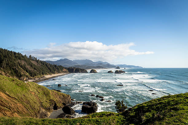 cannon strand von ecola - newport oregon stock-fotos und bilder