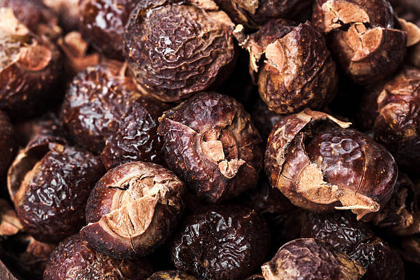 istock the background of soap nuts. Natural, organic 519191002