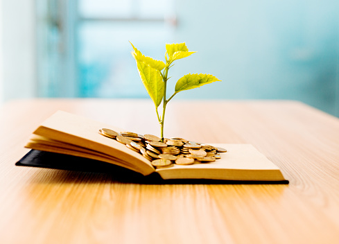 Young plant growing out of book with coins. Knowledge concept