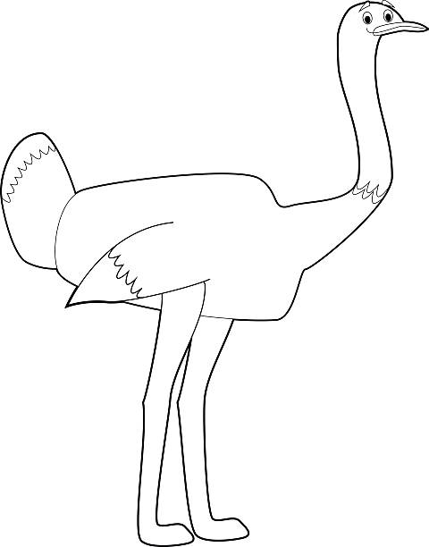 Easy Coloring Animals for Kids: Ostrich Easy Coloring drawings of animals for little kids: Ostrich how to draw a school building clip art stock illustrations