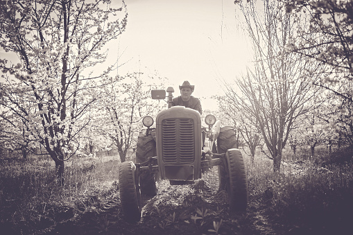 A disused vintage farm tracktor monument