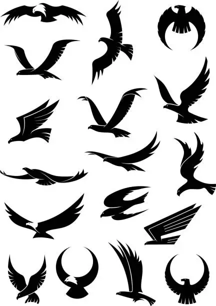 Vector illustration of Flying eagle, falcon and hawk vector icons