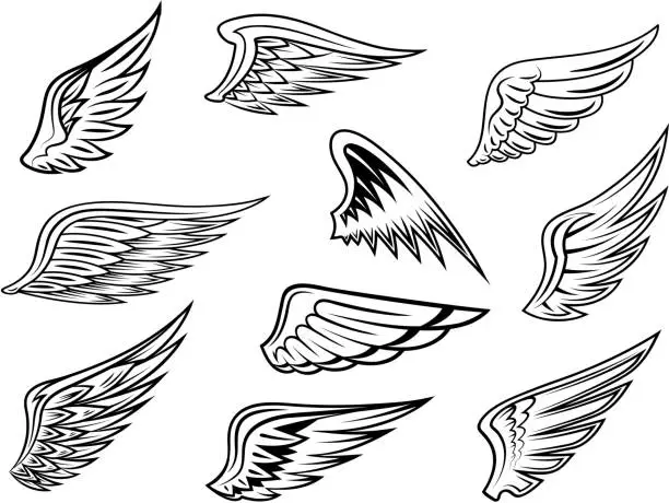 Vector illustration of Heraldic wings set