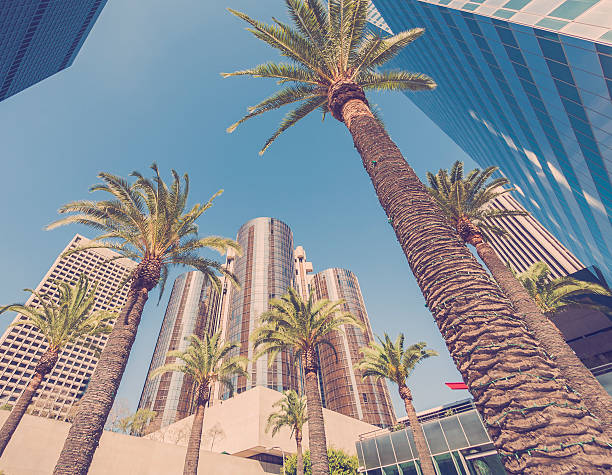 istock Downtown Los Angeles California 519215175