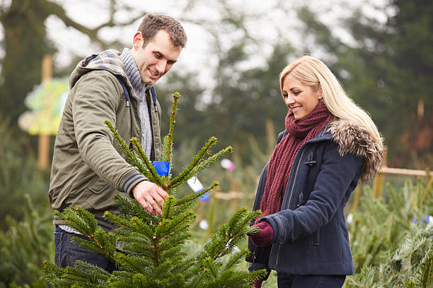 istock Outdoor Couple Choosing Christmas Tree Together 519215449