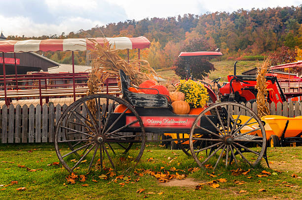 Farm in Fall Ontario, Canada humphrey bogart stock pictures, royalty-free photos & images