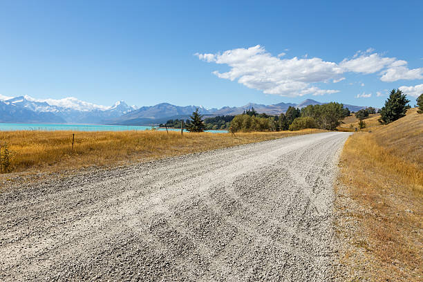 istock empty rural road through pasture  in new zealand 519219832