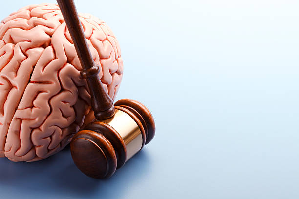 istock Gavel resting On Model of Human Brain 519221562