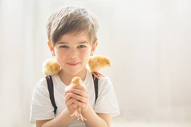 若い美しい prechool 少年、と遊ぶ小さな新生児の女の子 - bird yellow child chicken ストックフォトと画像